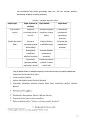Emigracija. Perspektyvos pasaulyje 4 puslapis