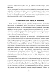 Energetikos ūkis 13 puslapis