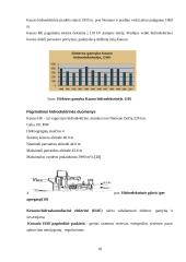 Energetikos ūkis 18 puslapis