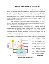 Energijos ir medžiagų apykaita ekosistemose 2 puslapis