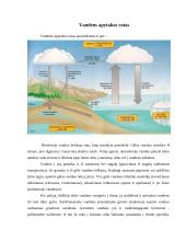 Energijos ir medžiagų apykaita ekosistemose 7 puslapis