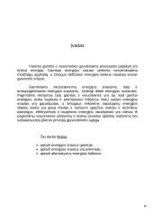 Energijos srautai gamtoje ir visuomenėje. Alternatyvūs energijos šaltiniai 2 puslapis