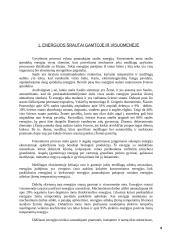 Energijos srautai gamtoje ir visuomenėje. Alternatyvūs energijos šaltiniai 3 puslapis