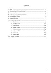 Engiamieji ir engėjai 2 puslapis