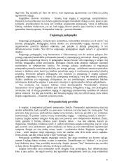 Engiamieji ir engėjai 6 puslapis