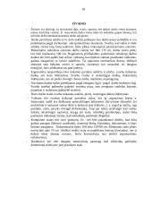 Ergonomiškas stalas 18 puslapis