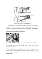 Ergonomiškas stalas 8 puslapis