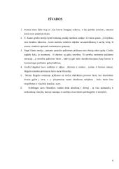 Estetikos suvokimas 8 puslapis