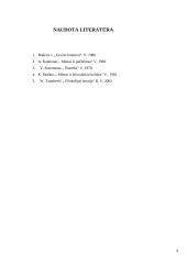 Estetikos suvokimas 9 puslapis