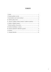 Estetinė aplinka 2 puslapis