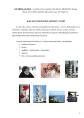 Estetinė aplinka 4 puslapis