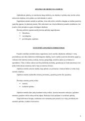 Estetinė aplinka 6 puslapis