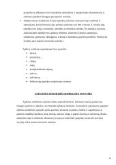 Estetinė aplinka 8 puslapis