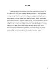 Estetinė aplinka 9 puslapis