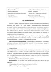 Etika ir papročiai tarptautiniame marketinge 12 puslapis