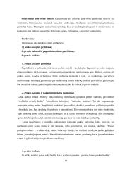 Etika ir papročiai tarptautiniame marketinge 14 puslapis