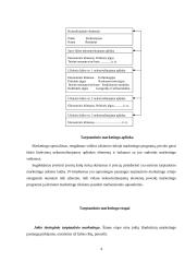 Etika ir papročiai tarptautiniame marketinge 4 puslapis