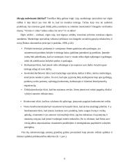 Etika ir papročiai tarptautiniame marketinge 6 puslapis