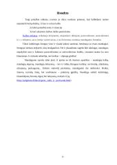 Etiketas kalboje 11 puslapis