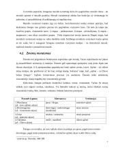 Etikos ir moralumo socialiniai saitai 7 puslapis