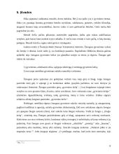 Etikos ir moralumo socialiniai saitai 8 puslapis