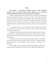 Etikos kodeksų paskirtis, forma, struktūra 2 puslapis