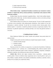 Etikos kodeksų paskirtis, forma, struktūra 4 puslapis