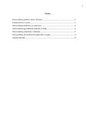 Etikos kodekso metodologija, struktūra ir realaus veiksmingumo sąlygos 2 puslapis