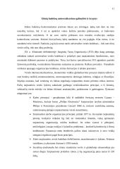 Etikos kodekso metodologija, struktūra ir realaus veiksmingumo sąlygos 11 puslapis