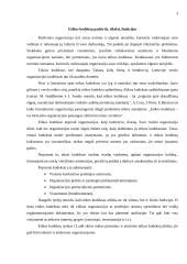 Etikos kodekso metodologija, struktūra ir realaus veiksmingumo sąlygos 3 puslapis