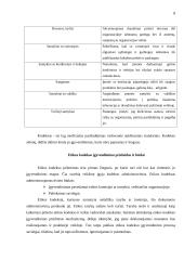 Etikos kodekso metodologija, struktūra ir realaus veiksmingumo sąlygos 8 puslapis