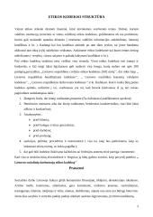 Etikos kodekso struktūra ir funkcijos 3 puslapis
