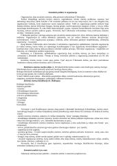 Sisteminis požiūris į organizaciją 