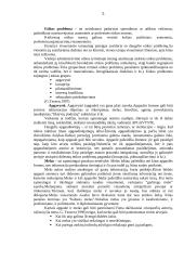 Etikos problemos mano darbovietėje 3 puslapis