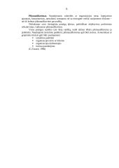 Etikos problemos mano darbovietėje 4 puslapis