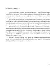 Etikos reikalavimai kultūrinei institucijai 13 puslapis