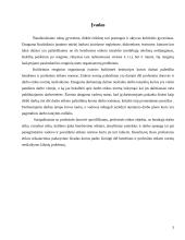 Etikos reikalavimai kultūrinei institucijai 3 puslapis