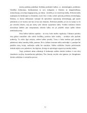 Etikos reikalavimai kultūros darbuotojui 11 puslapis