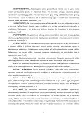 Etikos reikšmė viešajame administravime 12 puslapis