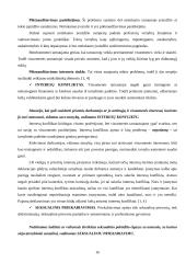 Etikos reikšmė viešajame administravime 16 puslapis