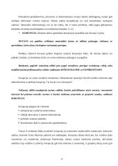 Etikos reikšmė viešajame administravime 17 puslapis