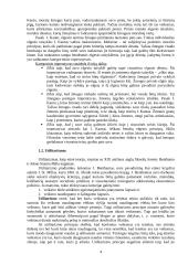 Pagrindinės etikos teorijos  3 puslapis