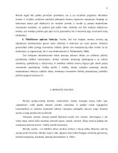 Etikos, moralės, dorovės ir viešojo administravimo santykis 7 puslapis