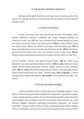 Etinės problemos šiuolaikinėje medicinoje: Vaikas iš mėgintuvėlio 5 puslapis