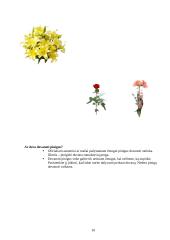 Etiškas dovanų įteikimas 10 puslapis