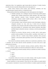 Etiško sprendimo samprata 3 puslapis