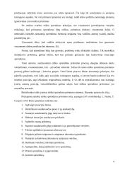 Etiško sprendimo samprata 4 puslapis