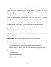 Etnografinis kaimo turizmas 2 puslapis