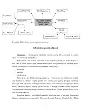 Etnografinis kaimo turizmas 11 puslapis