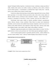 Etnografinis kaimo turizmas 12 puslapis